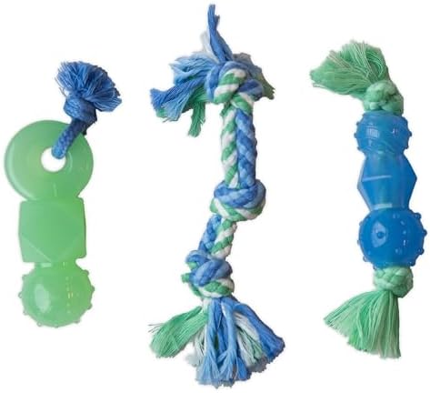 Colorful braided and rubber dog chew toys.