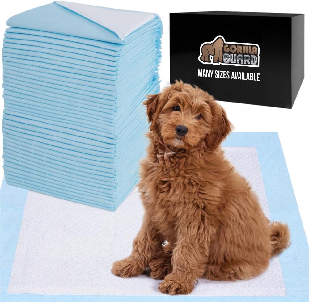 Dog sitting on training pad with supplies.