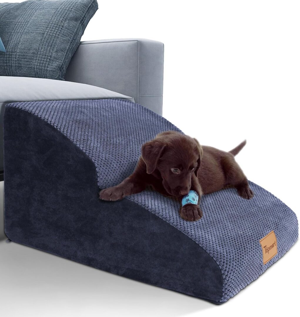 Puppy on a textured ramp near couch.