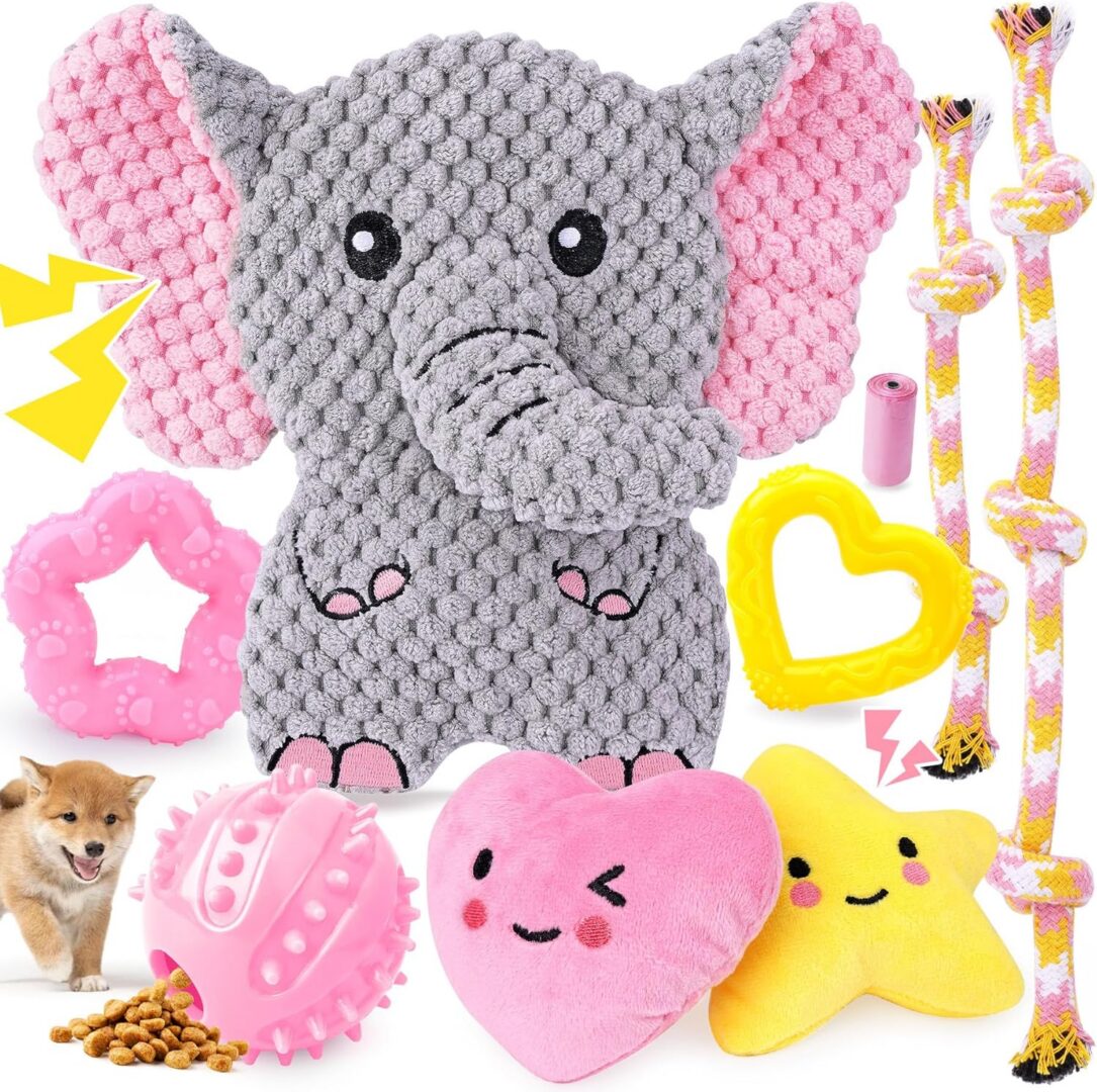 Dog toys assortment with elephant plush.