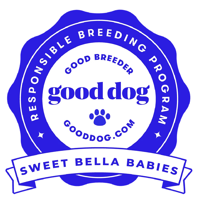 Good dog Sweet Bella Babies